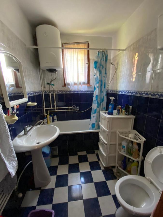 Apartman Zivic Berilovac Bagian luar foto
