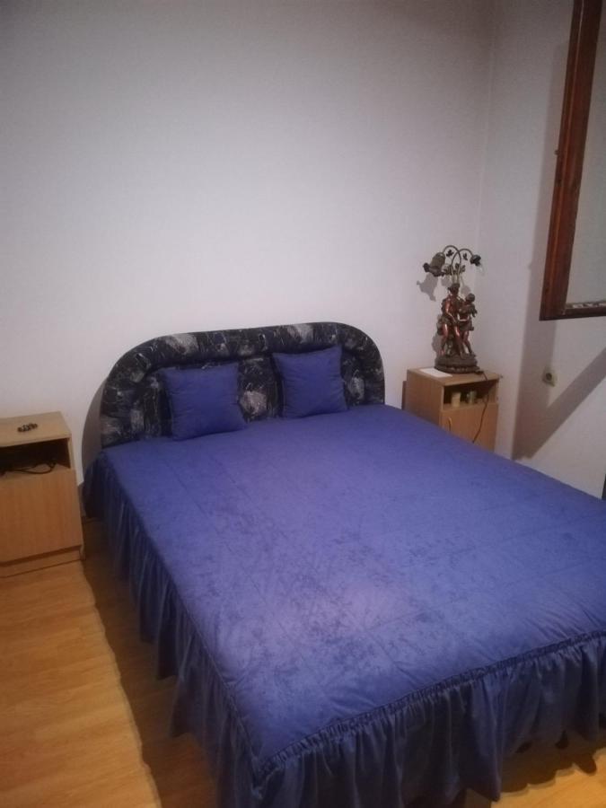 Apartman Zivic Berilovac Bagian luar foto