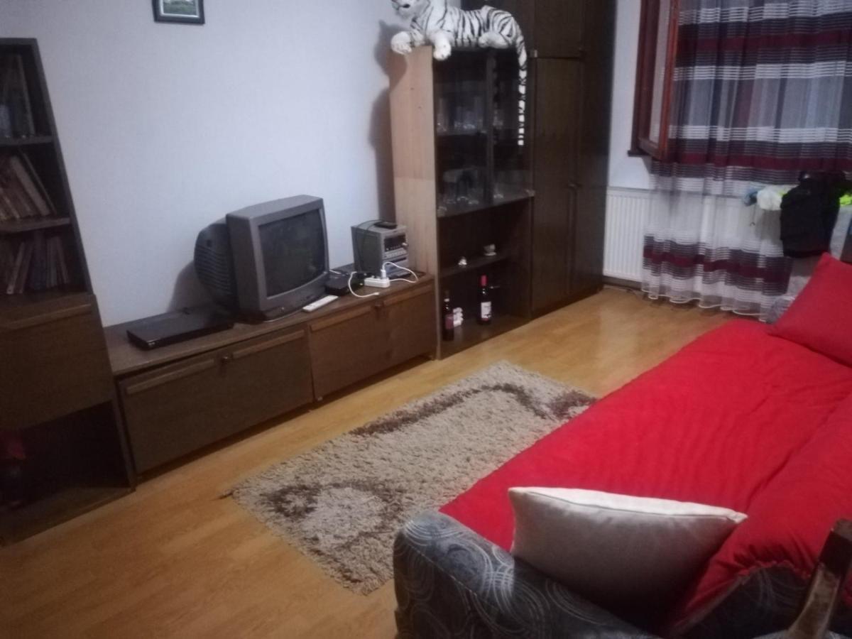 Apartman Zivic Berilovac Bagian luar foto